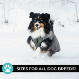 Manteau pour chien Shedrow K9 Chinook