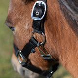 Supra Mini Halter W- Breakaway