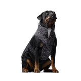 Canada Pooch The Expedition Dog Coat 2.0