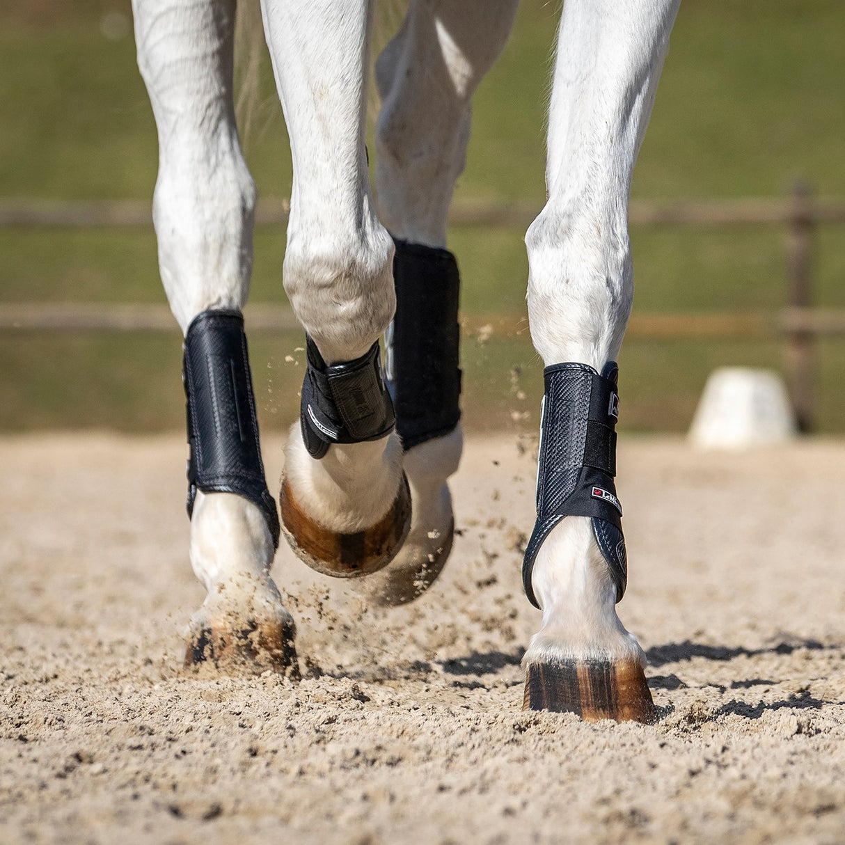 Bottes avant LeMieux Carbon Air XC