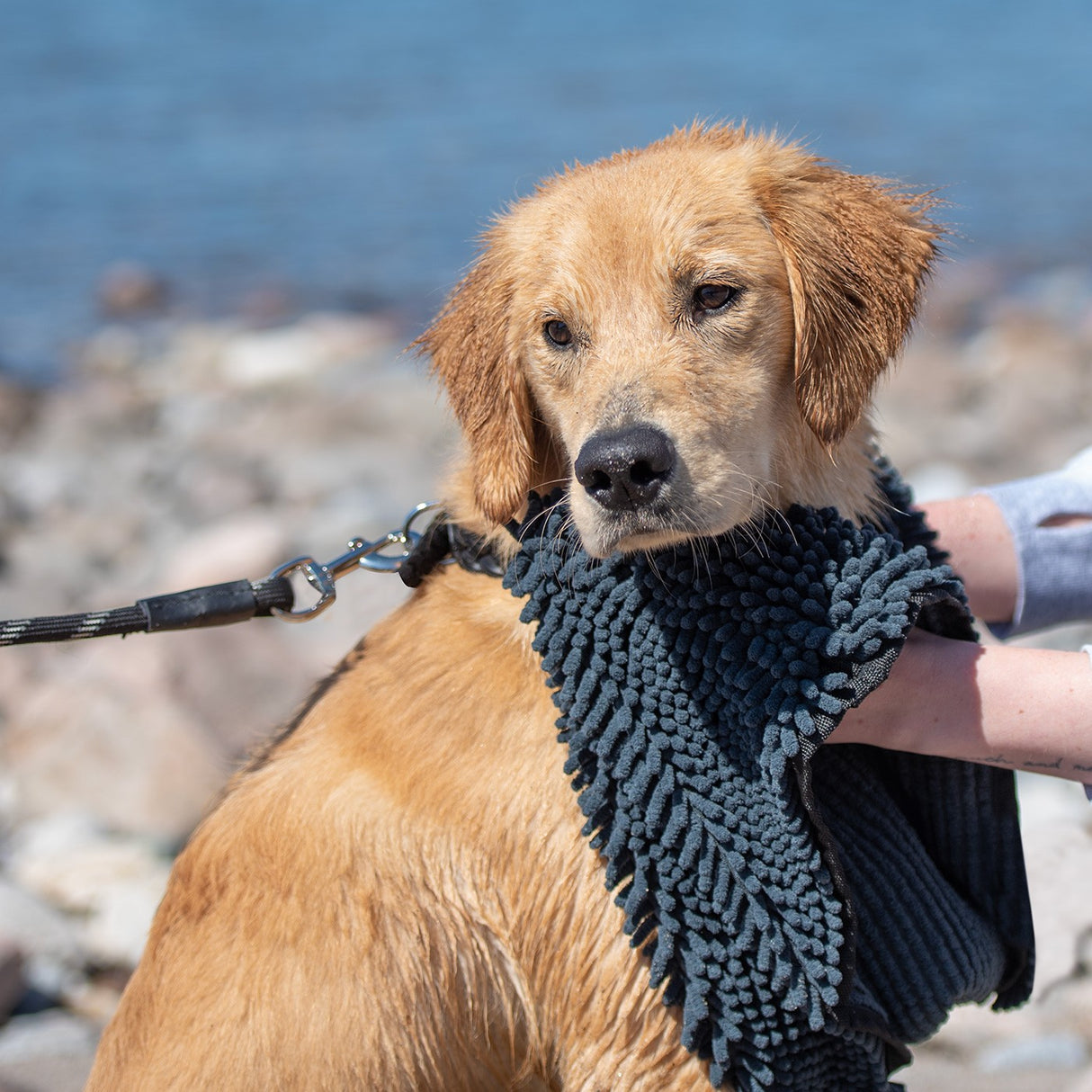 Shedrow K9 Super Towel