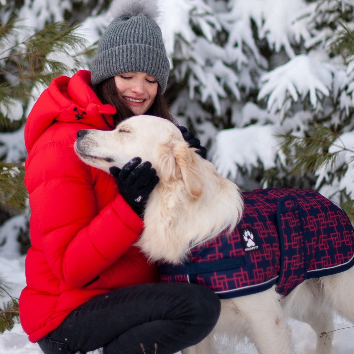Manteau pour chien Shedrow K9 Glacier
