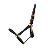Shedrow Deluxe 3-4 po. Licou