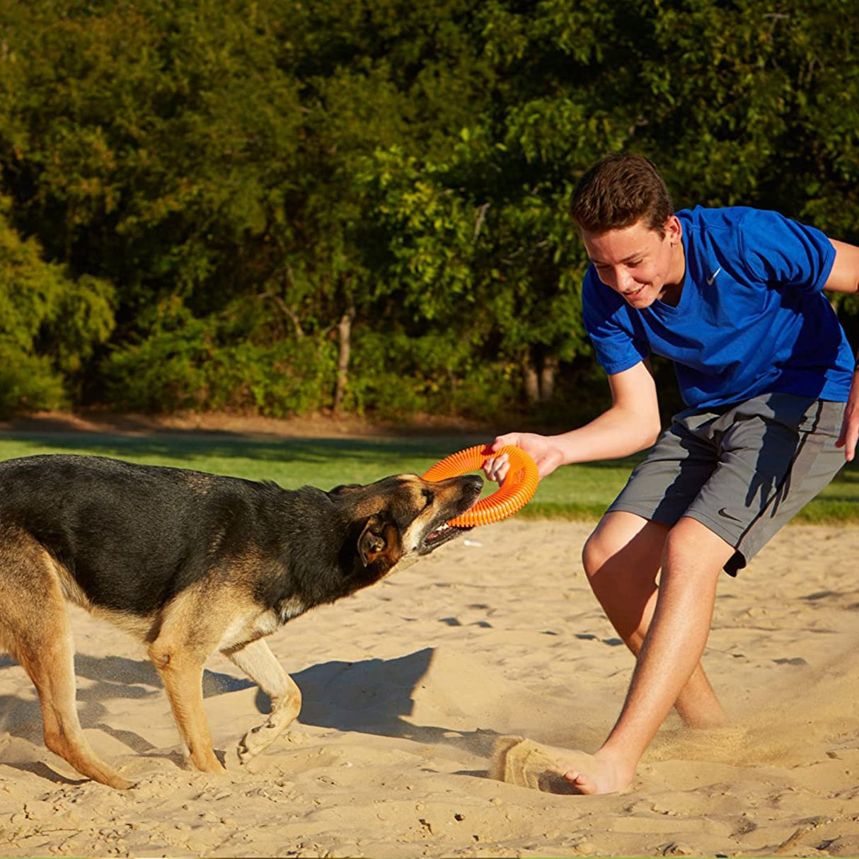 Chuck It Rugged Flyer Dog Toy