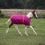 Supra Foal Blanket 300 g