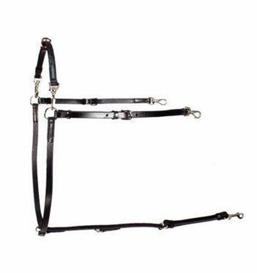 Collier de poitrine Gaitmaster Buxton