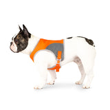 Canada Pooch Gilet de sécurité haute visibilité