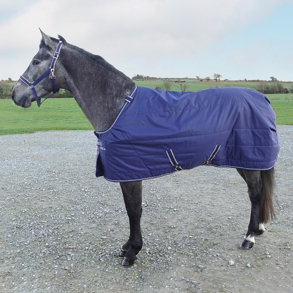 Bucas Quilt au toucher soyeux 50 g