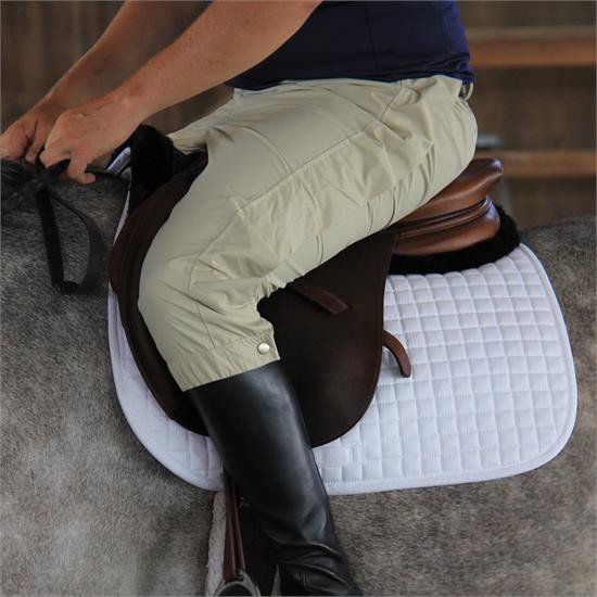 Tempo Equestrian Waterproof Show Pant