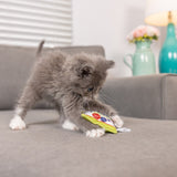 Jouet pour chat Kittybelles Kitty Pop