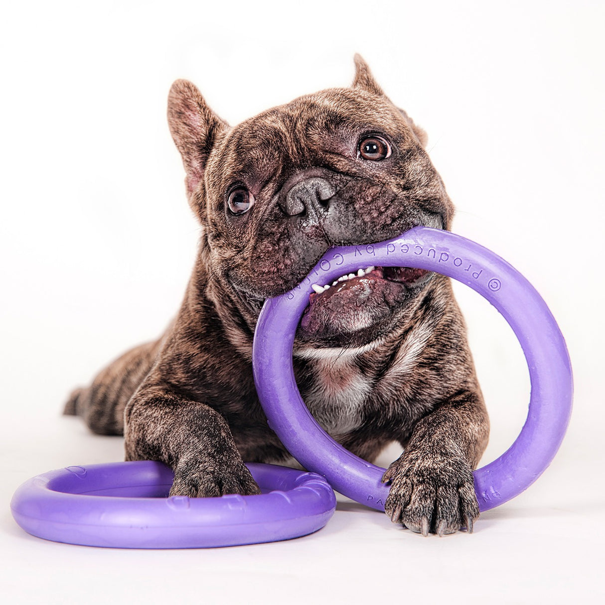 Collar Puller Mini