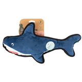 Requin rugueux et dur de Beco