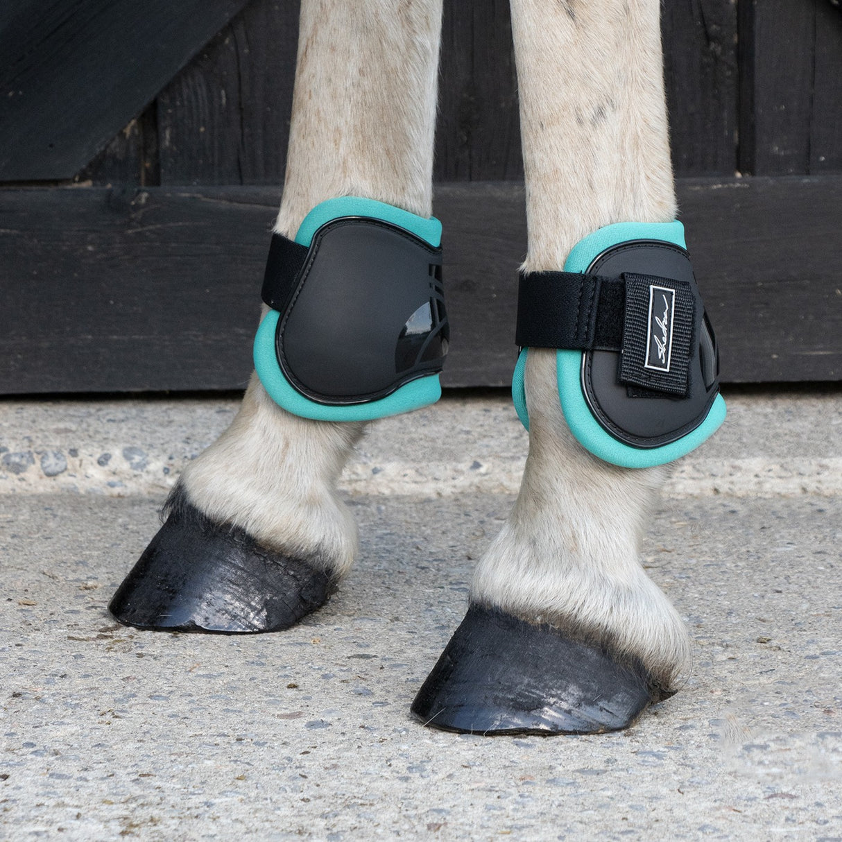 Shedrow Fetlock Boots