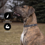 Shedrow K9 Rideau Corde tressée et collier en cuir