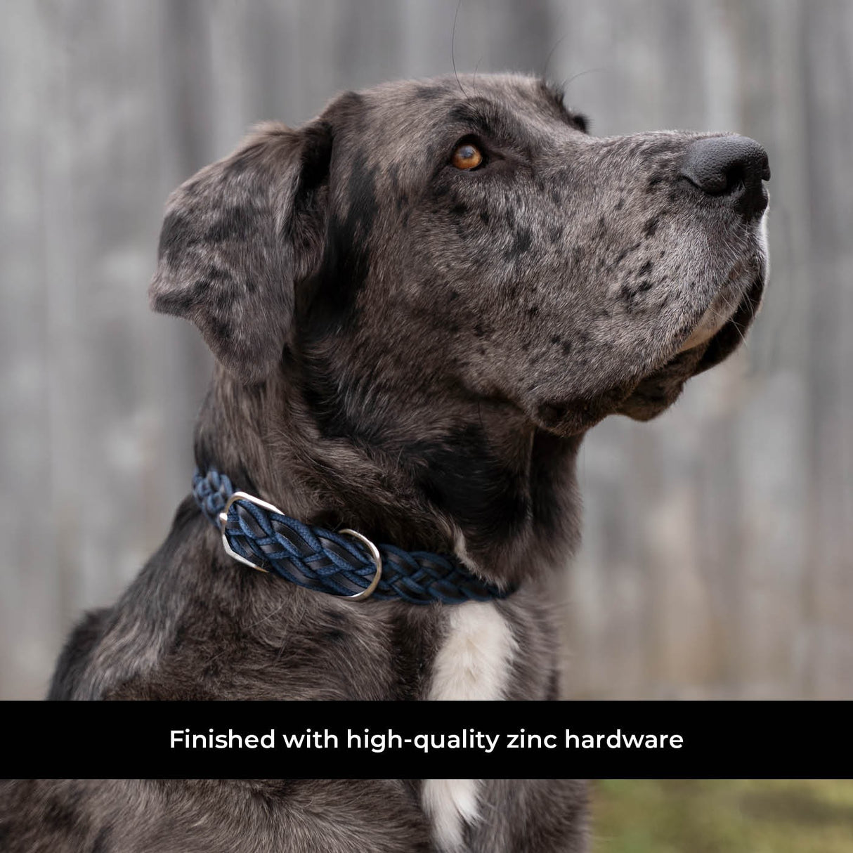 Shedrow K9 Rideau Corde tressée et collier en cuir