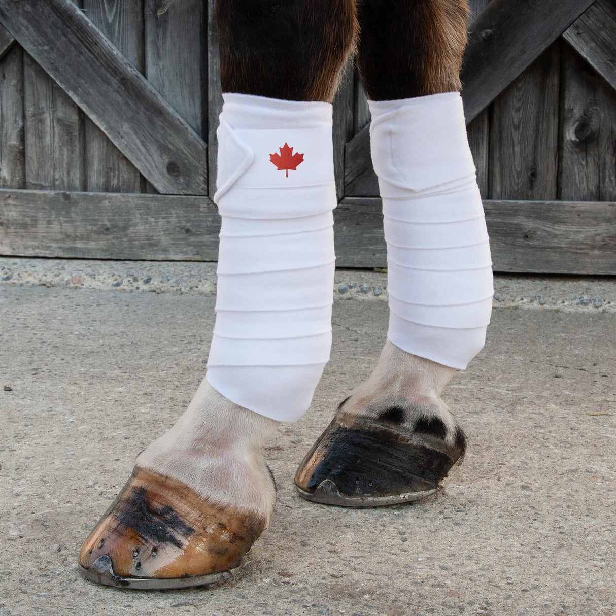 Bandages de polo Supra Maple Leaf