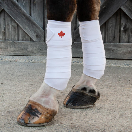 Supra Maple Leaf Polo Bandages