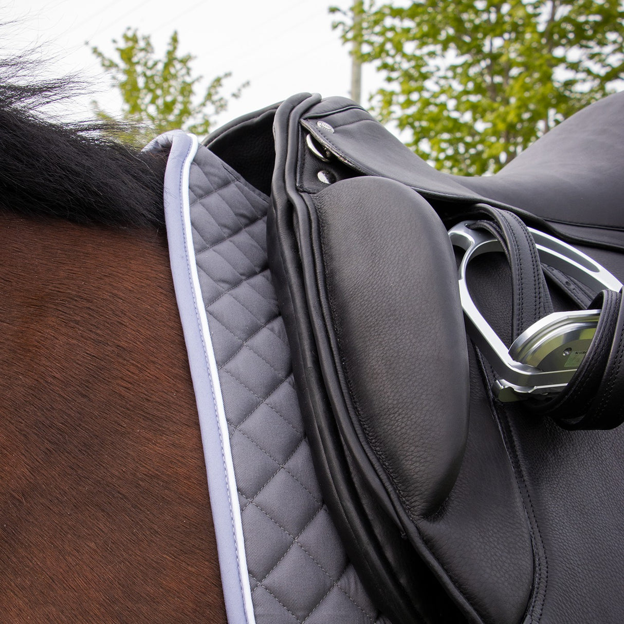 Shedrow Original Saddle Pad - Dressage