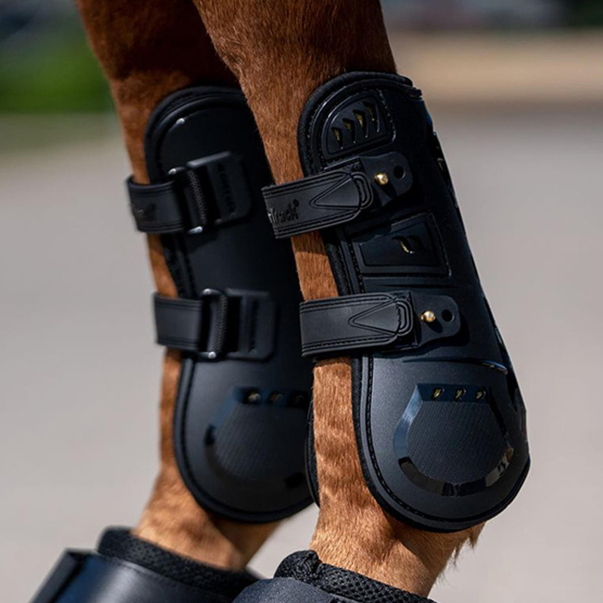 Protège-tendons Back on Track Airflow