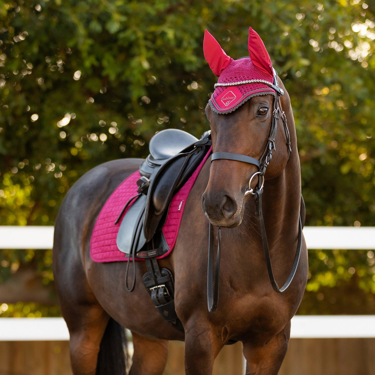 Coussin carré de dressage en daim LeMieux