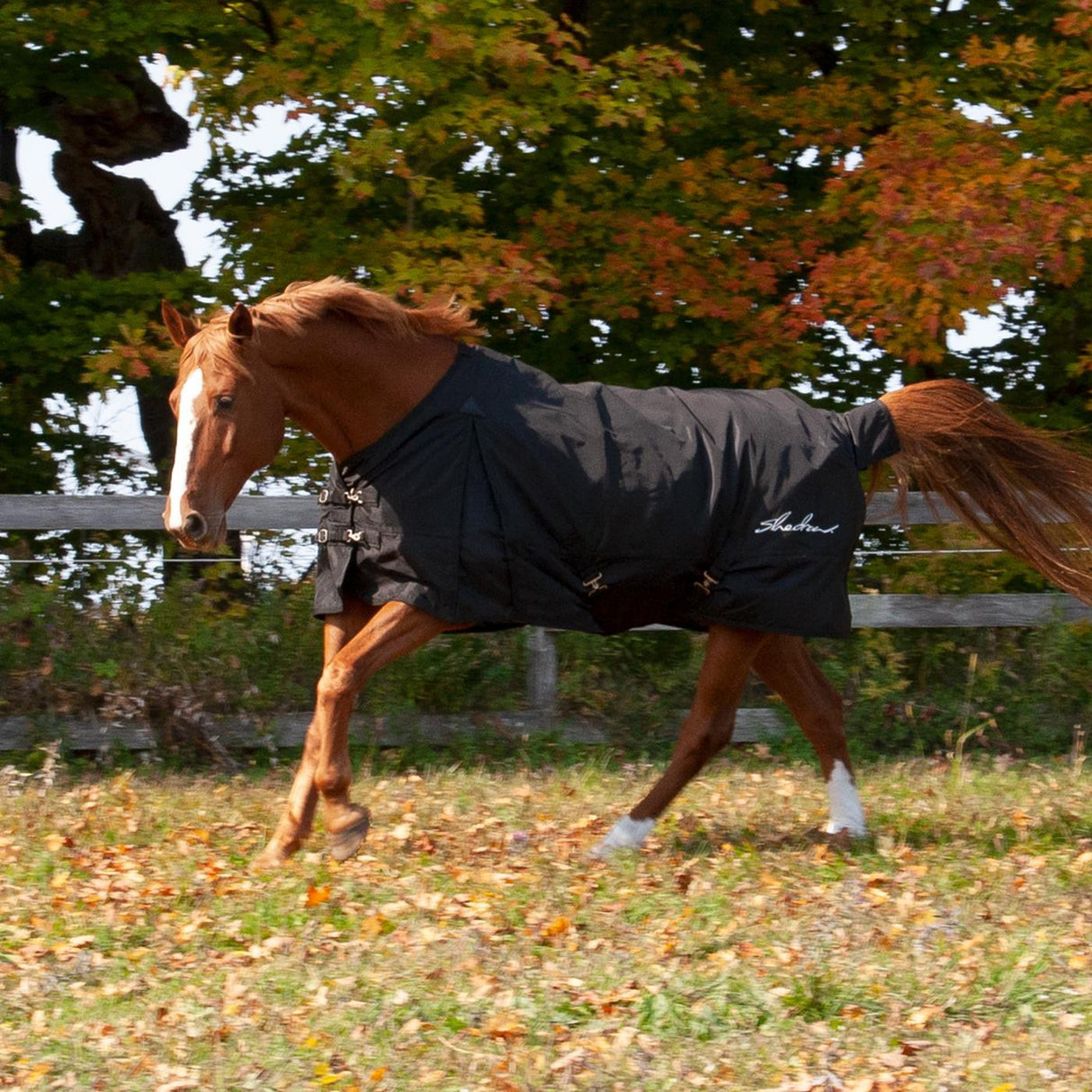 Drap de pluie isolé Shedrow 100 g