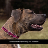 Shedrow K9 Rideau Braided Rope & Leather Collar