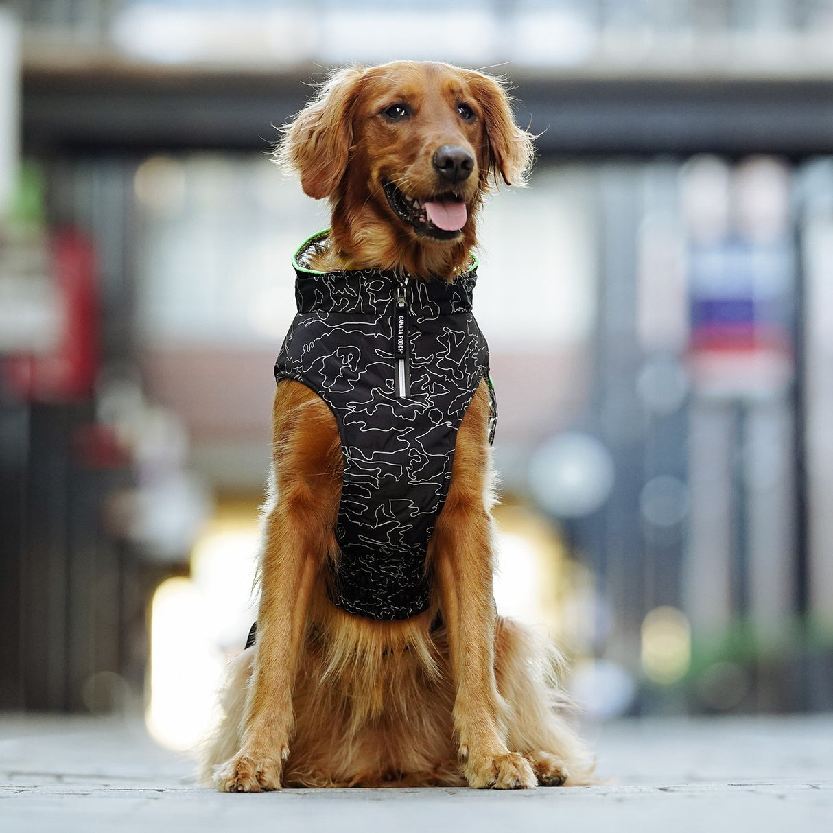 Canada Pooch The Expedition Dog Coat 2.0