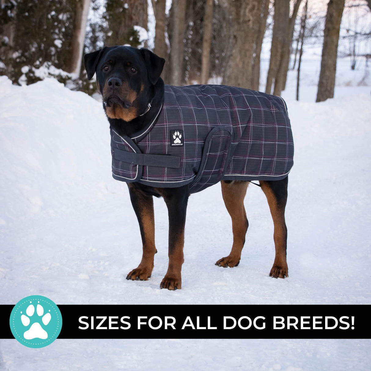 Manteau pour chien Shedrow K9 Glacier