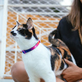 Zee Cat Collar