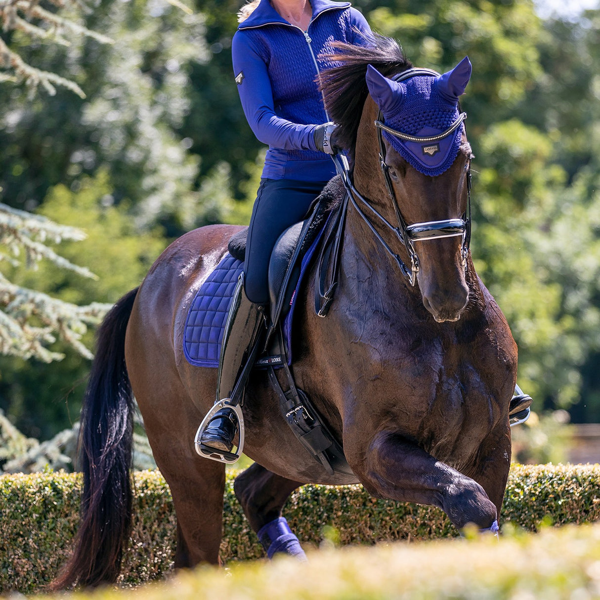 LeMieux Loire Fly Hood