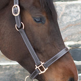 Val du Bois Convertible Leather Grooming Halter