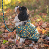 Shedrow K9 Canmore Dog Hoodie