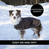 Manteau pour chien Shedrow K9 Tundra