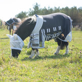 Supra Miniature Fly Sheet W- Belly Band & Fly Mask