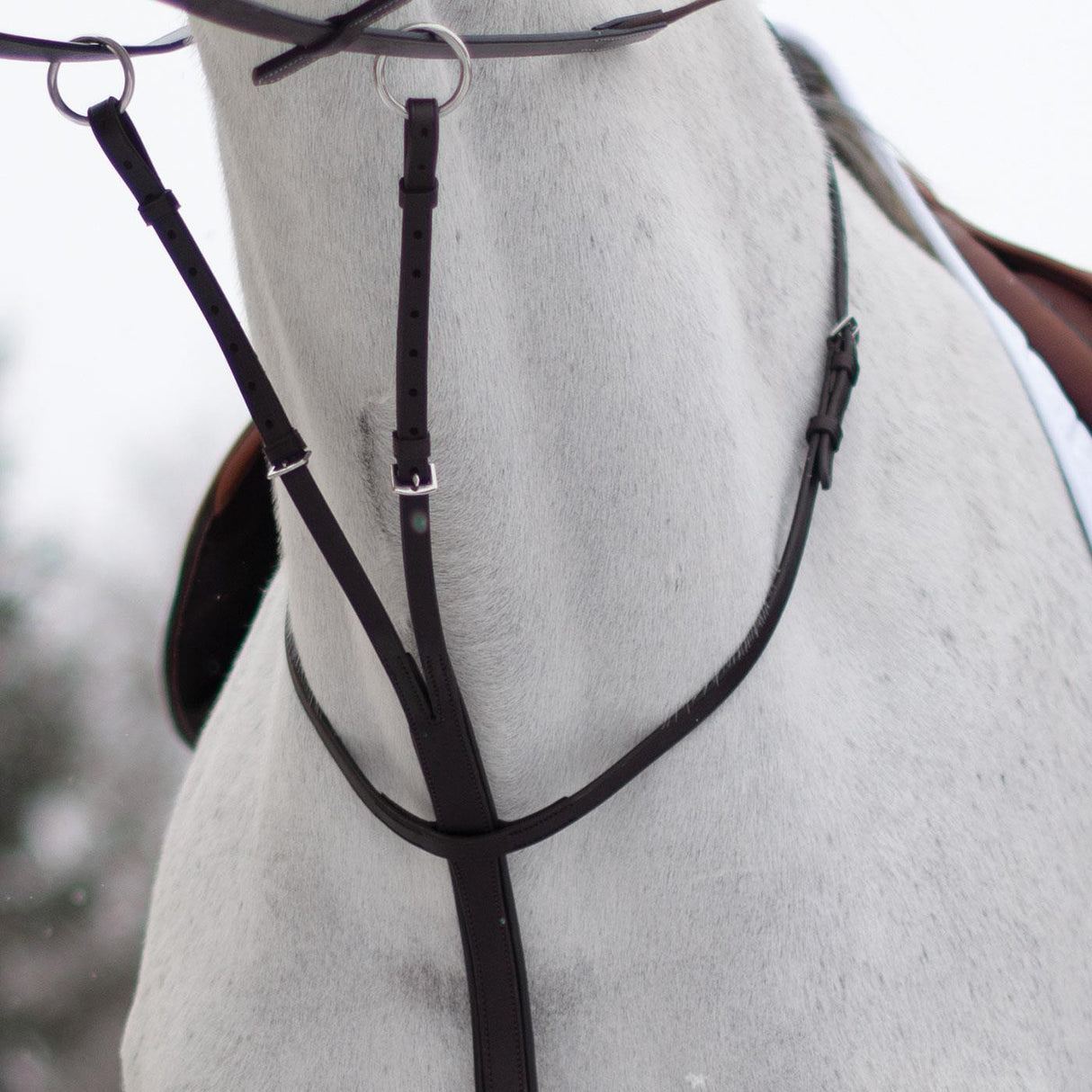 Martingale de course Mondega
