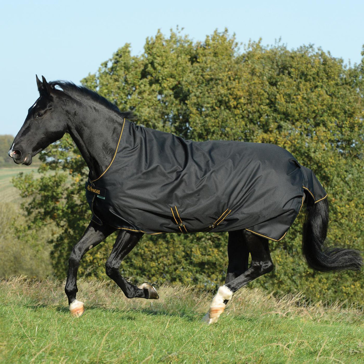 Bucas Irish Turnout Light 50 g