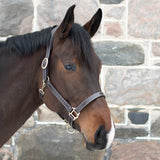 Val du Bois Convertible Leather Grooming Halter