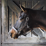 Every Day Essential Leather Halter