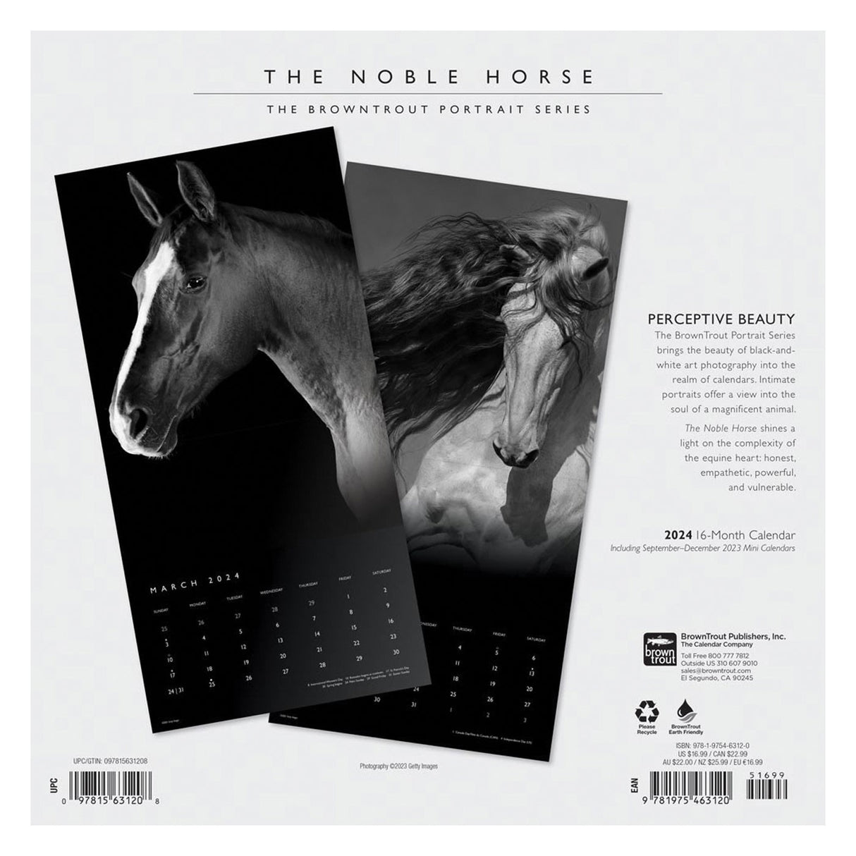 BrownTrout The Noble Horse Portrait Series 2024 Square Calendar