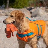 RC Pet Tidal Life Vest