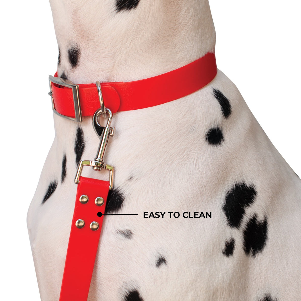 Shedrow K9 Tofino II Waterproof Leash 5 Ft.