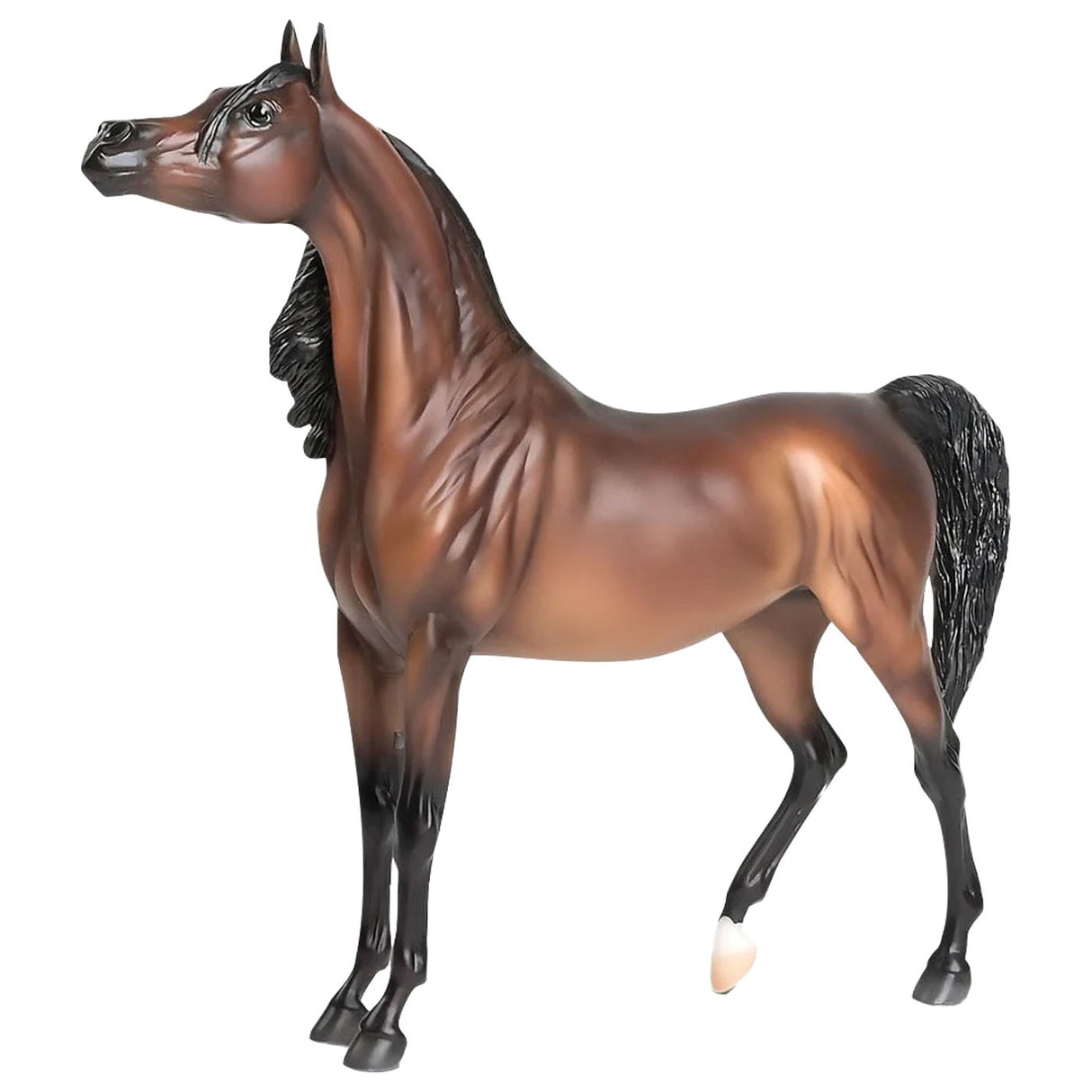 Breyer Traditionnel RD Marciea Bey