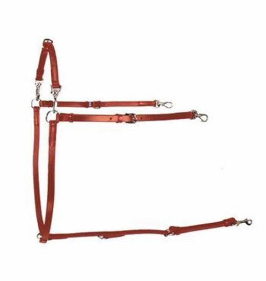 Collier de poitrine Gaitmaster Buxton