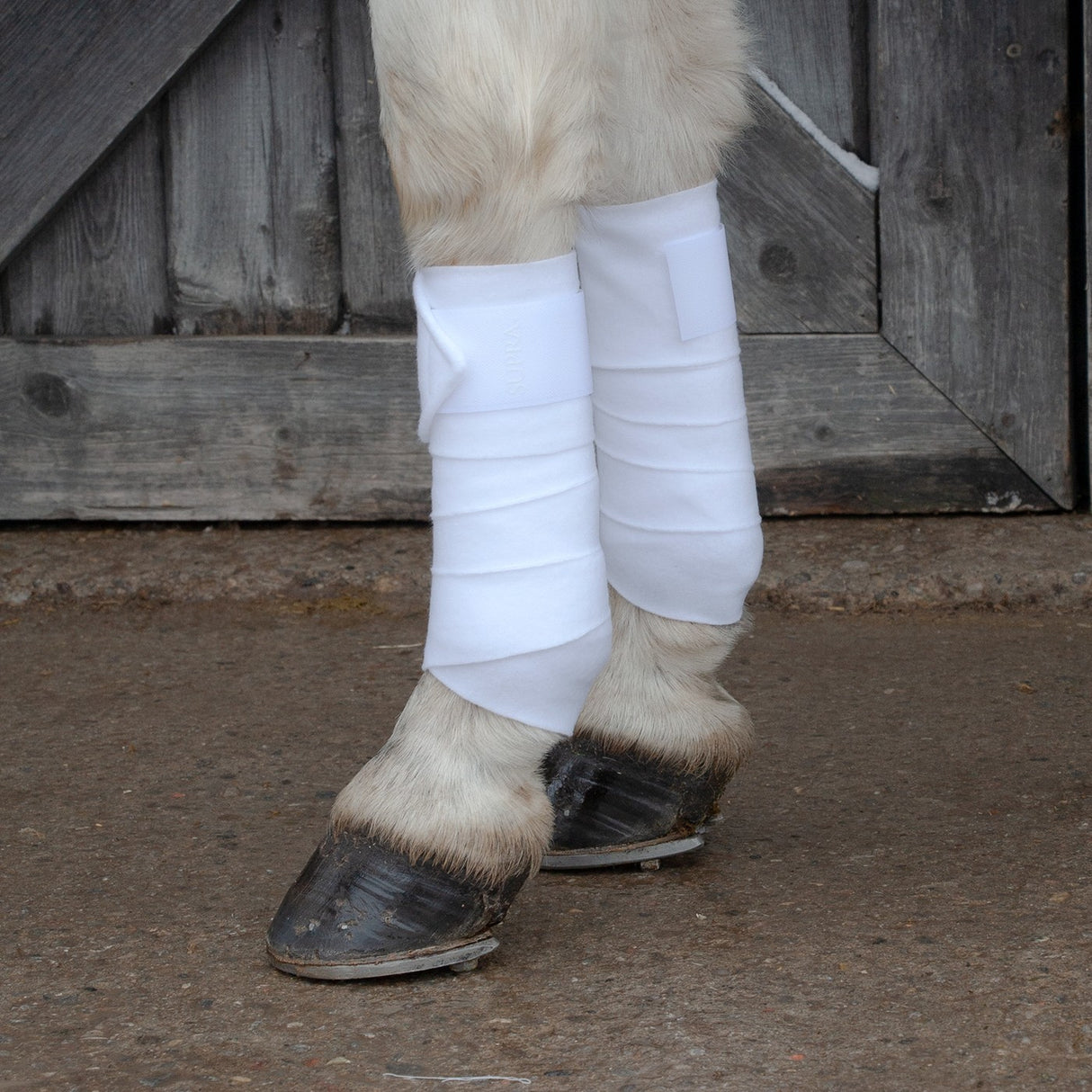 Bandages Supra Polo - Poney