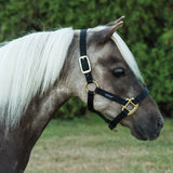 Shedrow Mini Nylon Halter