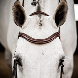 Rambo Micklem Deluxe Competition Bridle W- Reins