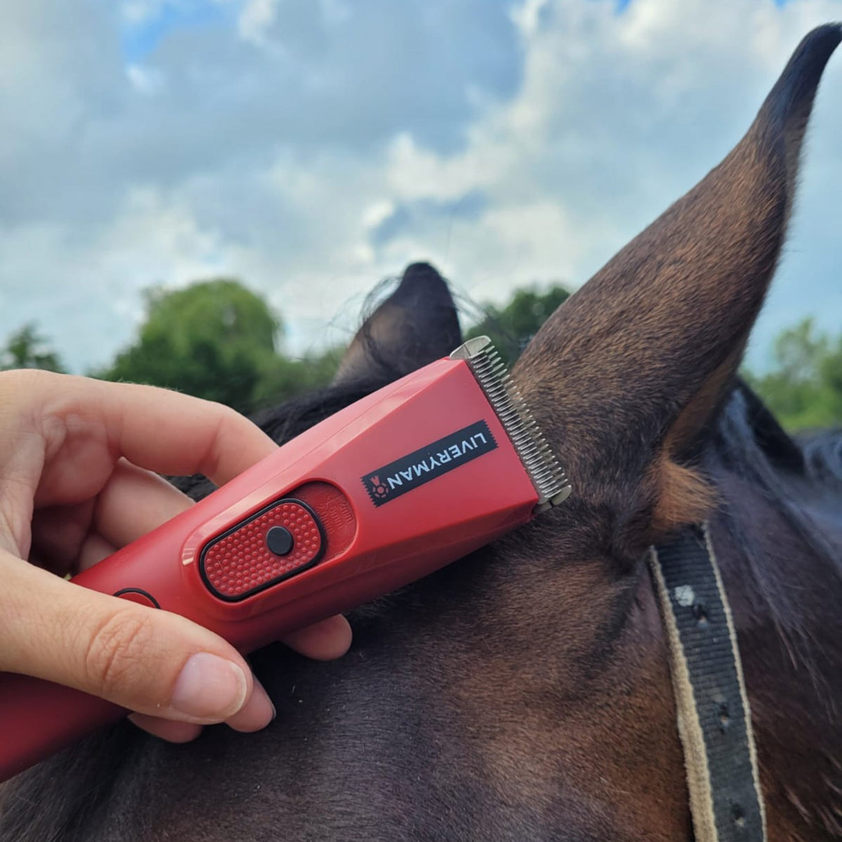 Liveryman Nova Cordless Trimmer