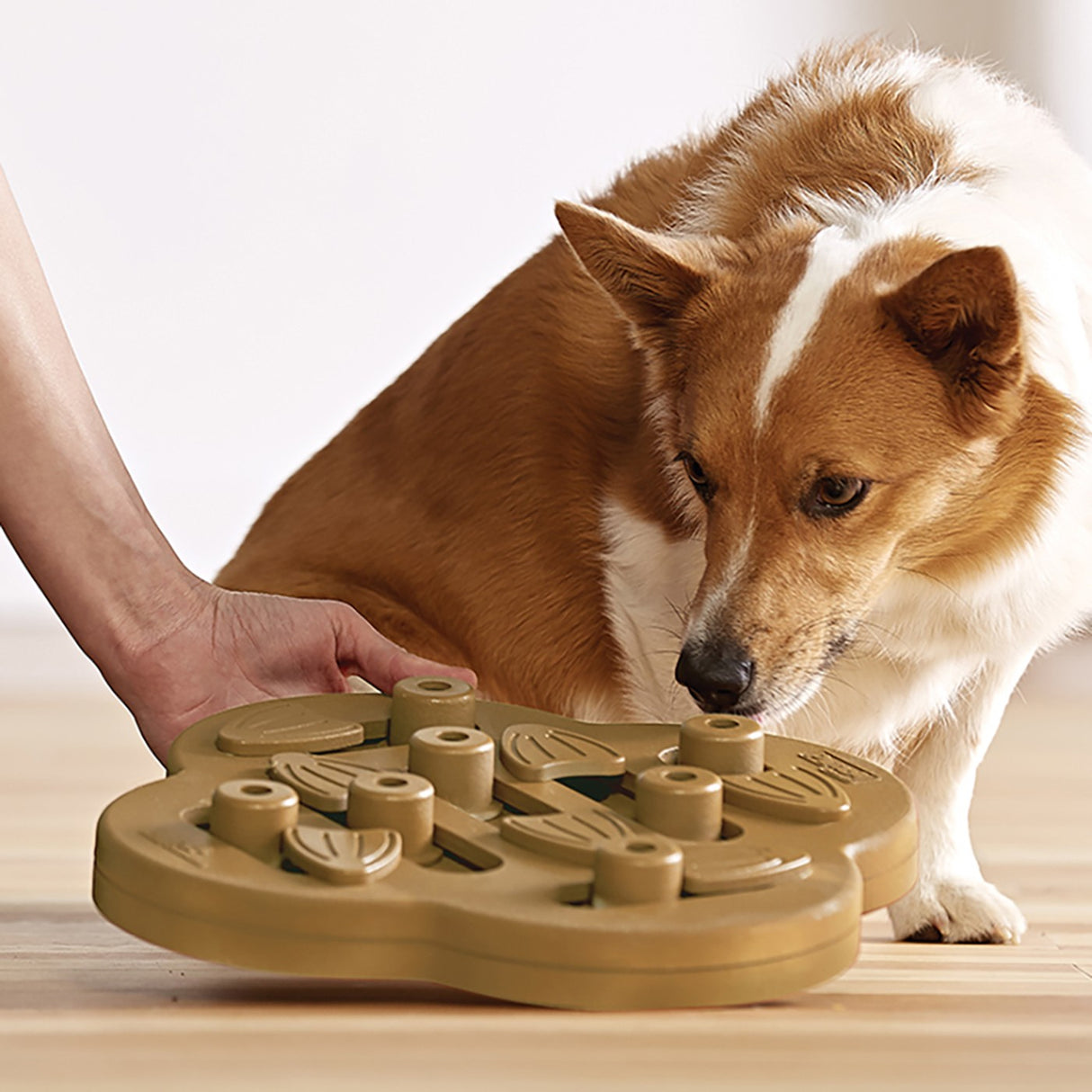 Puzzle de chien Hide N' Slide de Nina Ottosson