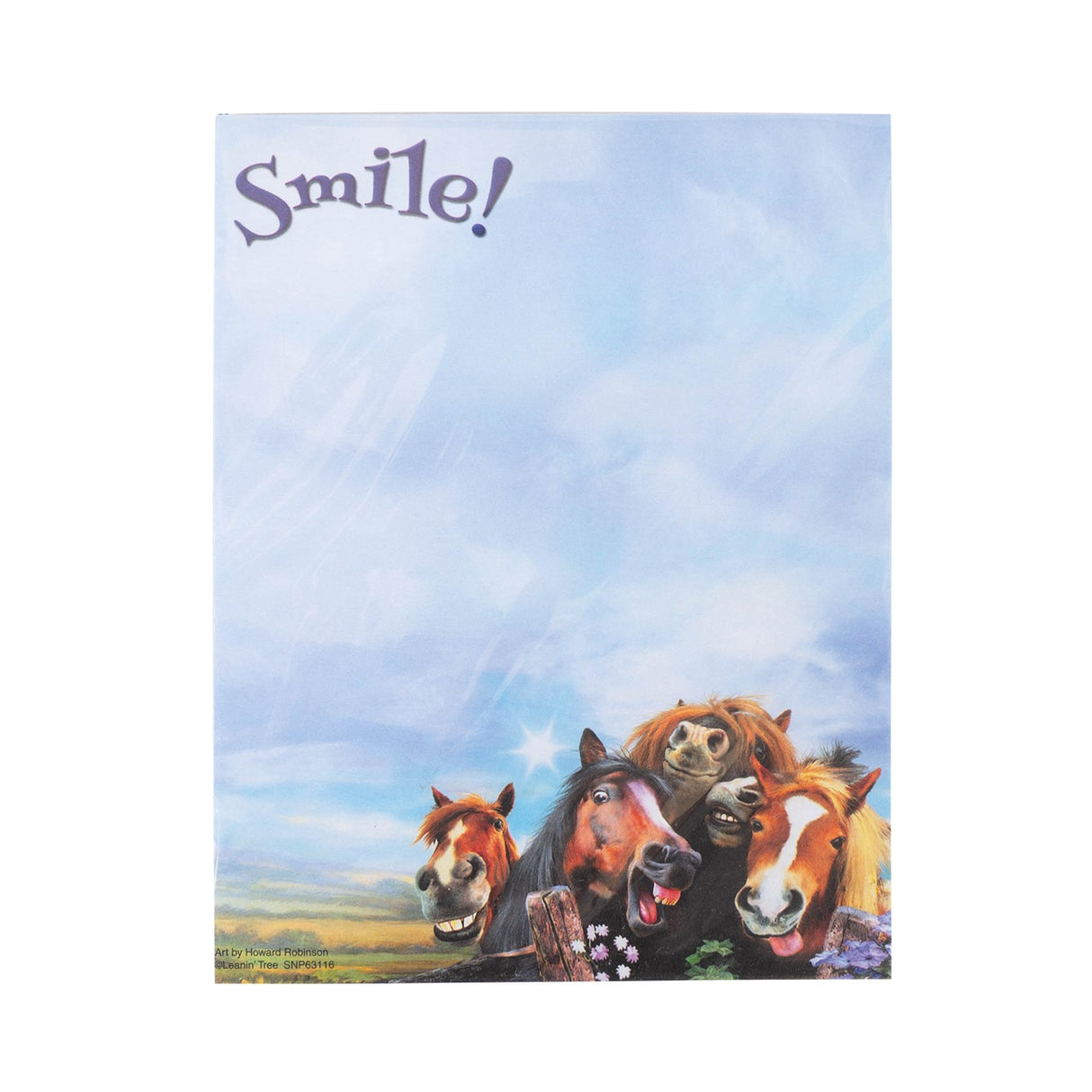 Leanin' Tree Funny Face Horses Notepad