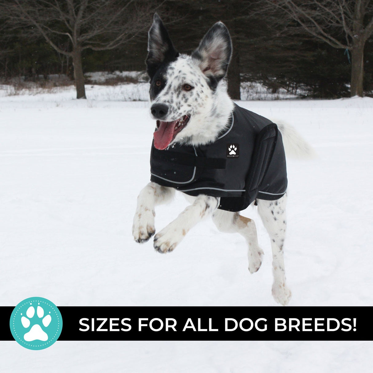 Manteau pour chien Shedrow K9 Tundra